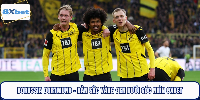 Borussia Dortmund - Bản Sắc Vàng Đen Dưới Góc Nhìn 8XBET