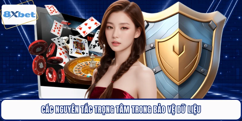 Các nguyên tắc trọng tâm trong bảo vệ dữ liệu