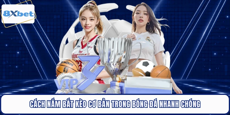 Cách nắm bắt kèo cơ bản trong bóng đá nhanh chóng