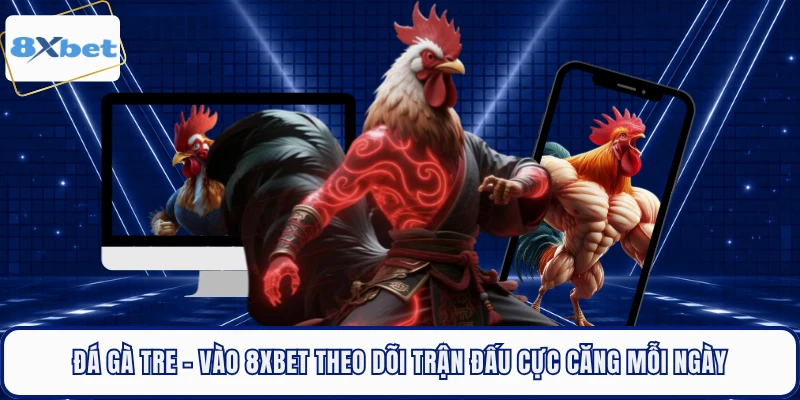 Đá Gà Tre - Vào 8XBET Theo Dõi Trận Đấu Cực Căng Mỗi Ngày