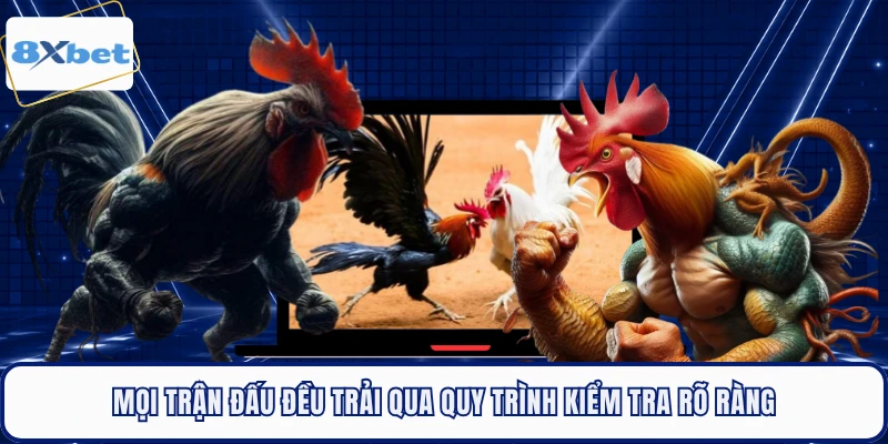 Mọi trận đấu đều trải qua quy trình kiểm tra rõ ràng