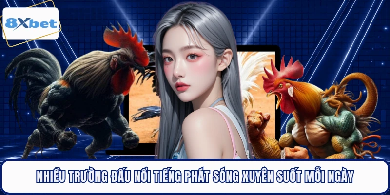 Nhiều trường đấu nổi tiếng phát sóng xuyên suốt mỗi ngày
