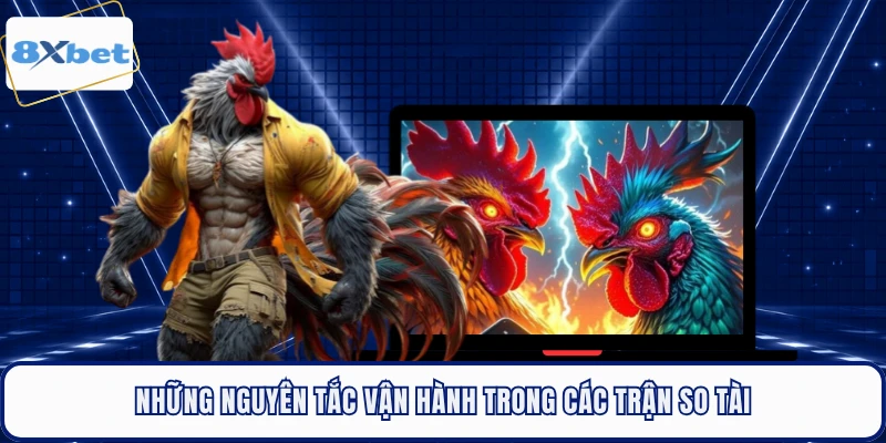 Những nguyên tắc vận hành trong các trận so tài