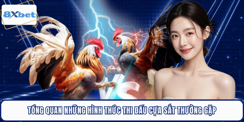 Tổng quan những hình thức thi đấu cựa sắt thường gặp