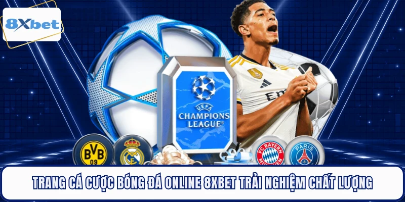 Trang Cá Cược Bóng Đá Online 8XBET Trải Nghiệm Chất Lượng